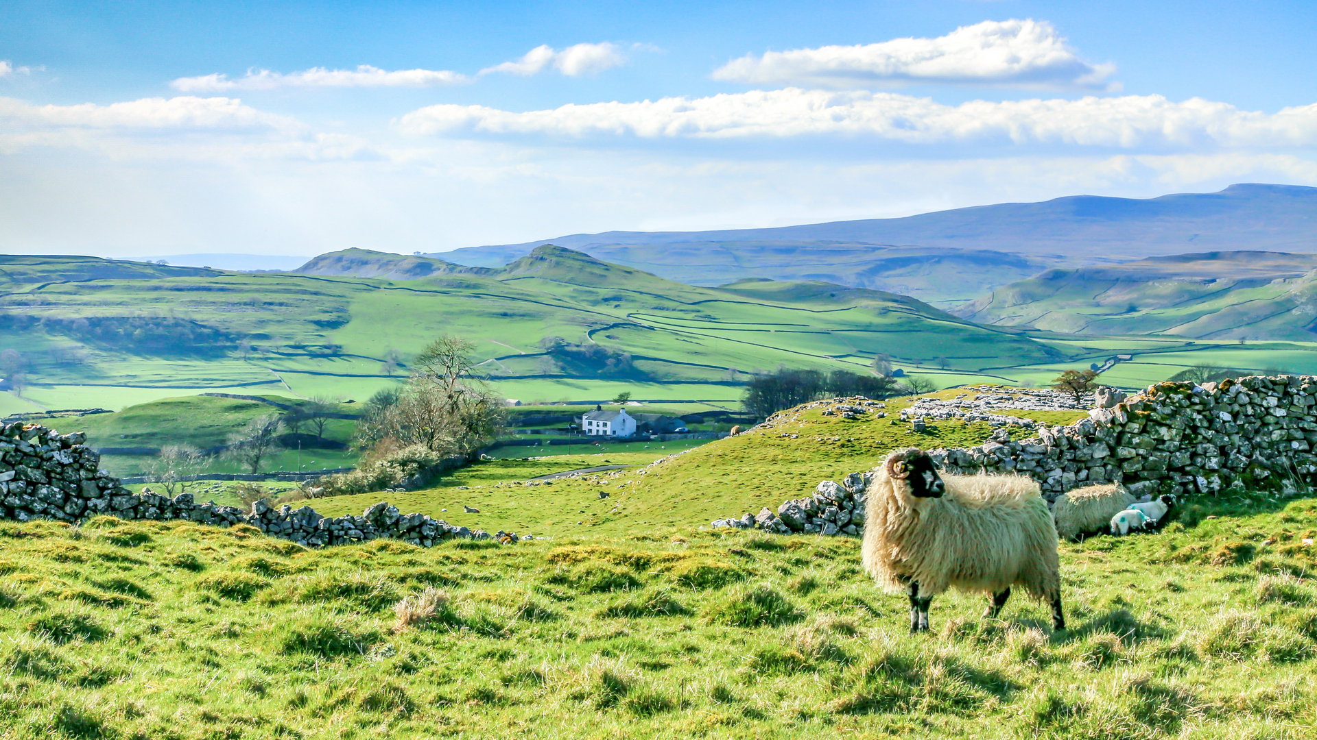 Swaledale